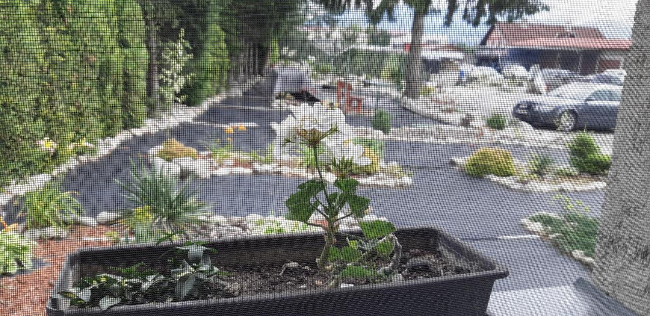 Apartman Yvet Sucany Esterno foto