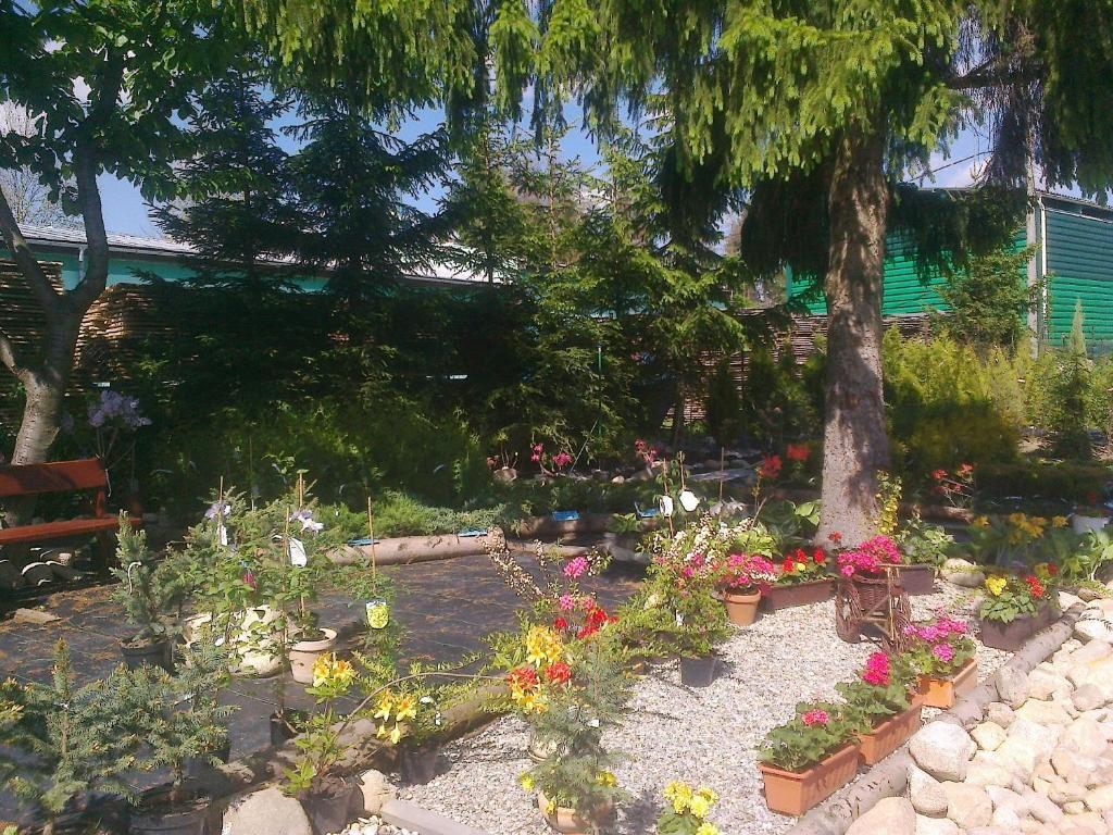Apartman Yvet Sucany Esterno foto